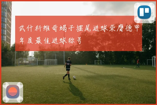武什科维奇蝎子摆尾进球荣膺德甲年度最佳进球称号
